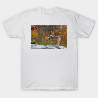 Timber Wolf T-Shirt